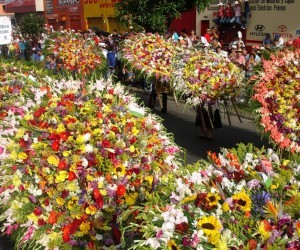 Medellin Flower Fair Source aeromedellin com